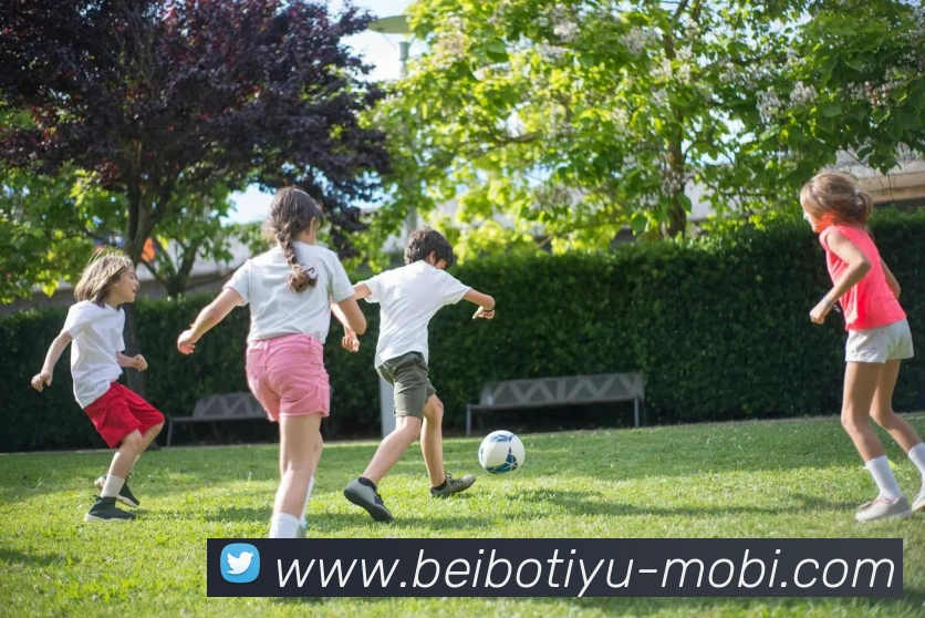 贝博体育平台生态图