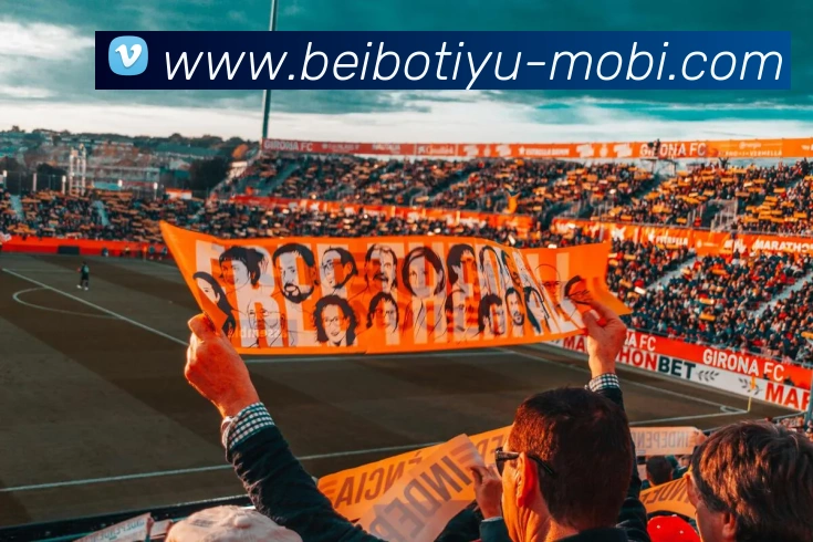 贝博体育APP 封面图