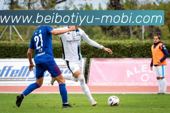 数据防护可视化